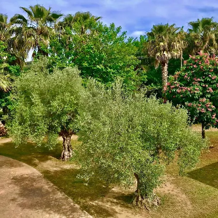 Willa Mediterraneo • Piscina Privada • A/c • Bbq • Wifi Blanes