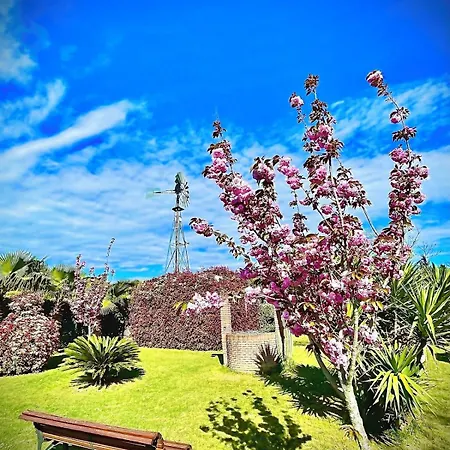 Mediterraneo • Piscina Privada • A/c • Bbq • Wifi *